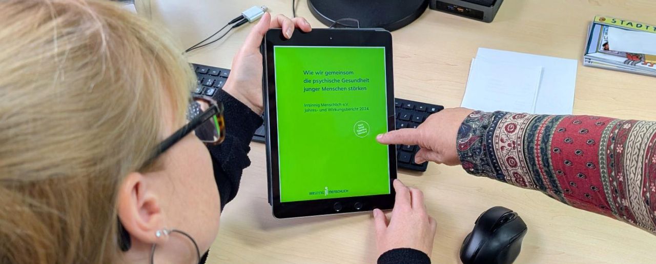 Jahres- und Wirkungsbericht nach SRS von Irrsinnig Menschlich e.V.