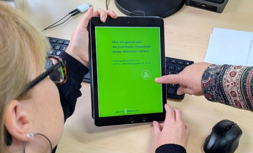 Jahres- und Wirkungsbericht nach SRS von Irrsinnig Menschlich e.V.