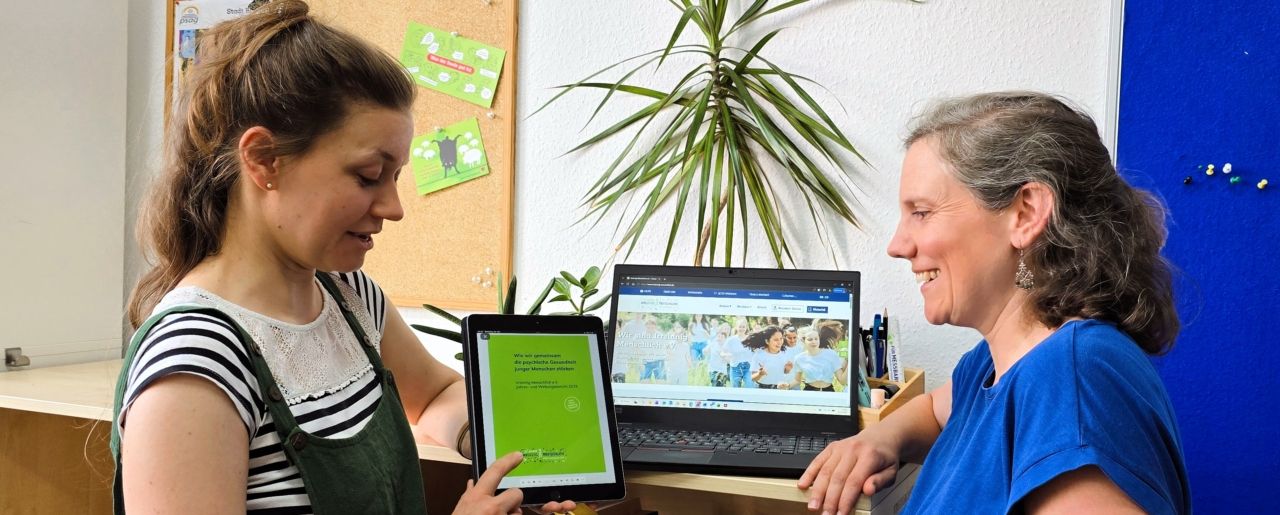 Jahres- und Wirkungsbericht 2025 Irrsinnig Menschlich e.V. nach Social Reporting Standard (SRS)