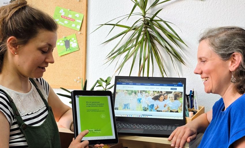 Jahres- und Wirkungsbericht 2025 Irrsinnig Menschlich e.V. nach Social Reporting Standard (SRS)
